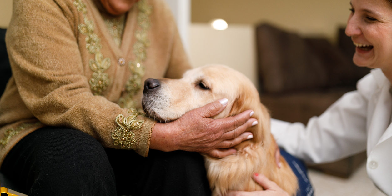 Pet therapy is both a source of comfort and good medicine - The ...