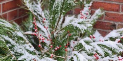 408336951_748382937307322_3454486276391495630_n