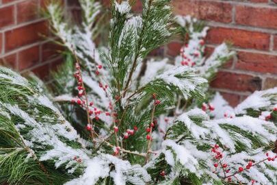 408336951_748382937307322_3454486276391495630_n