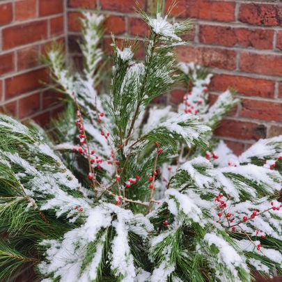 408336951_748382937307322_3454486276391495630_n