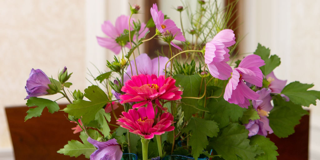 daily life images 16