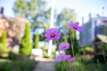 activities for seniors