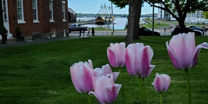 flowersandbh